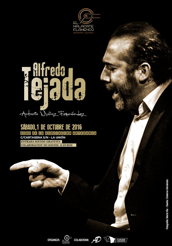 Festivales Flamencos tweet media