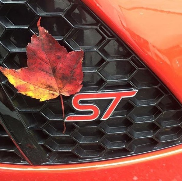 InterstateFord's tweet image. At Interstate Ford, we have the #Ford vehicles that will get you to that great sport to watch the leaves change.