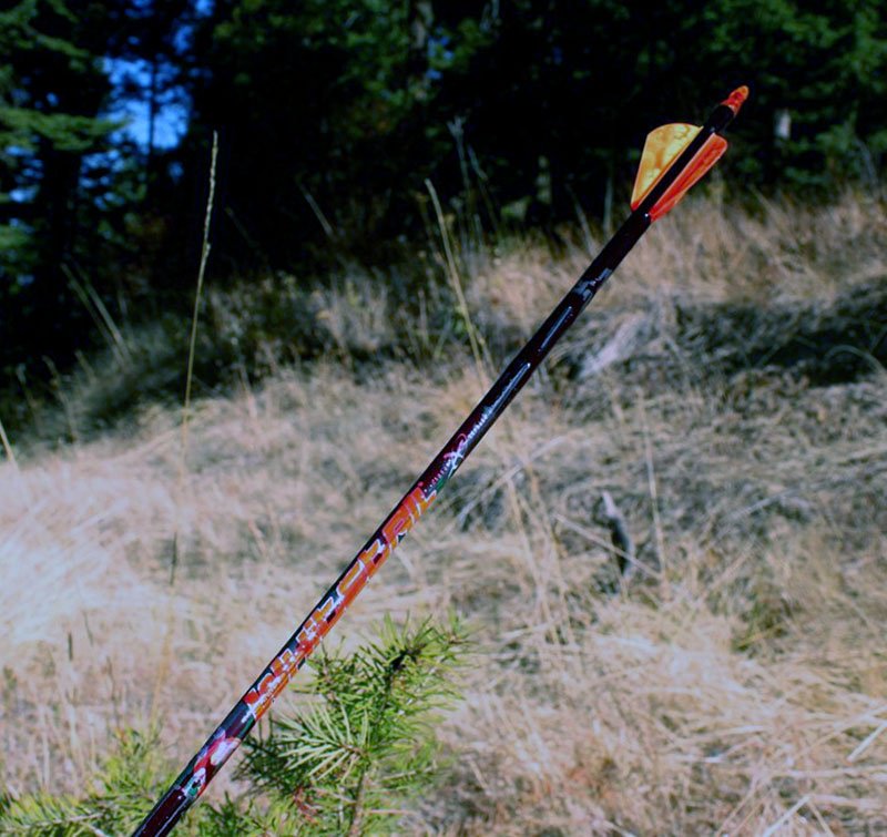 What does the blood on your arrow tell you? hubs.ly/H04njKW0 #whitetail