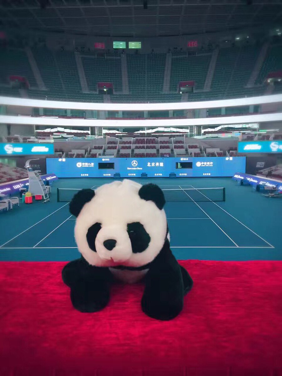 ChinaOpen's tweet photo. Let the #Panda to show you what is behind the scene at the #DiamondCourt ! Your #ChinaOpen adds new ribbon banner, LED Backwall this year! https://t.co/6nQFK6amA3