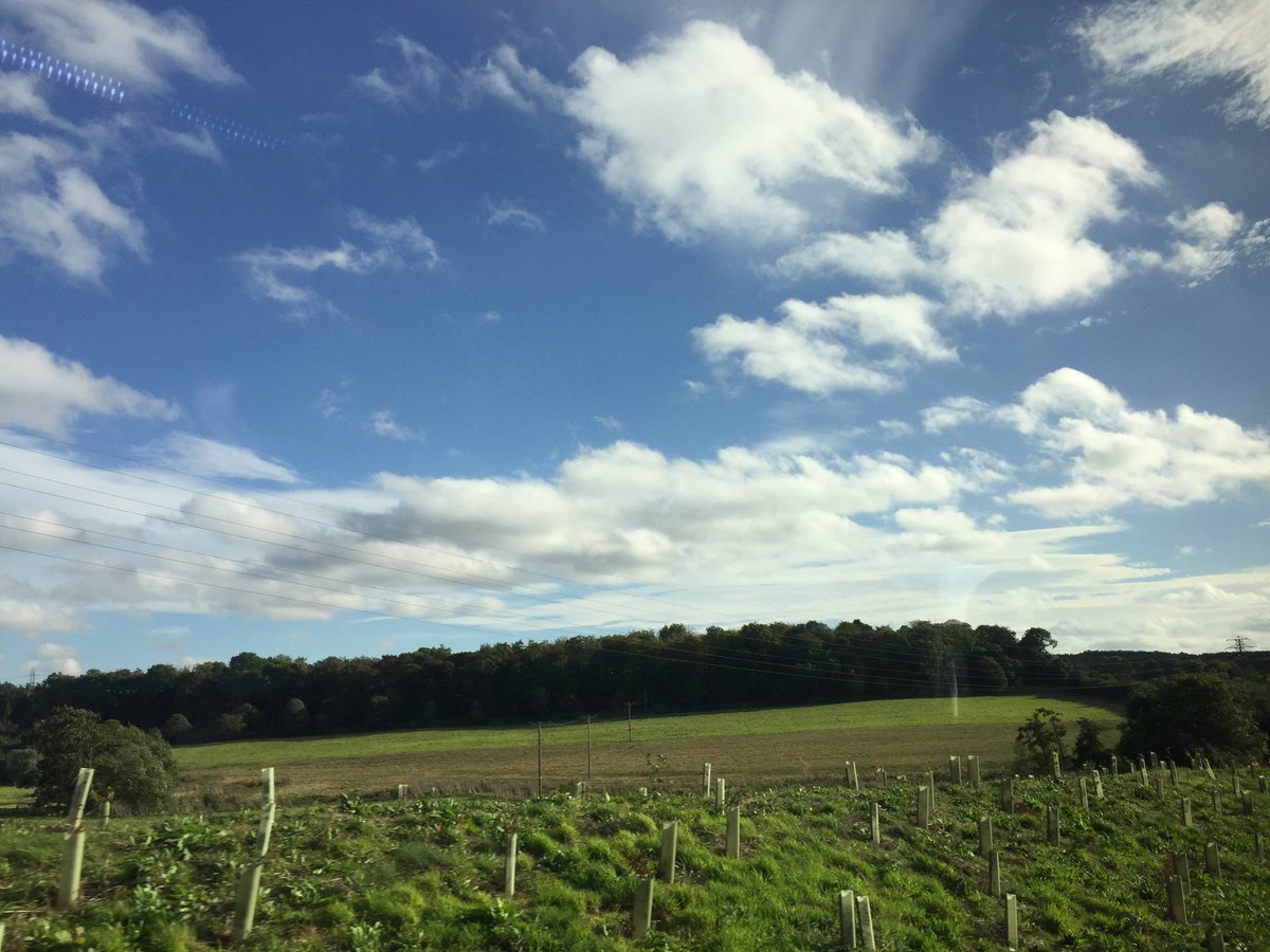 LogicFreight's tweet image. Hope everyone is enjoying today's amazing weather. Send us your view right now.