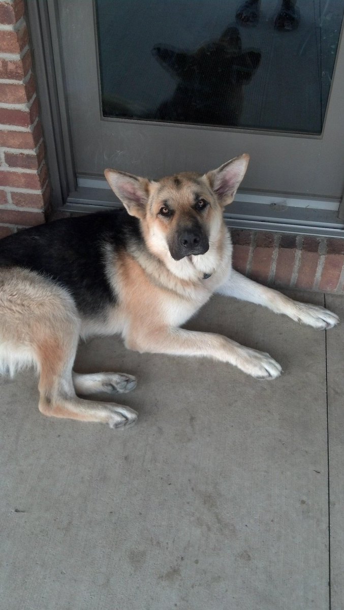 Jared Post tweet media