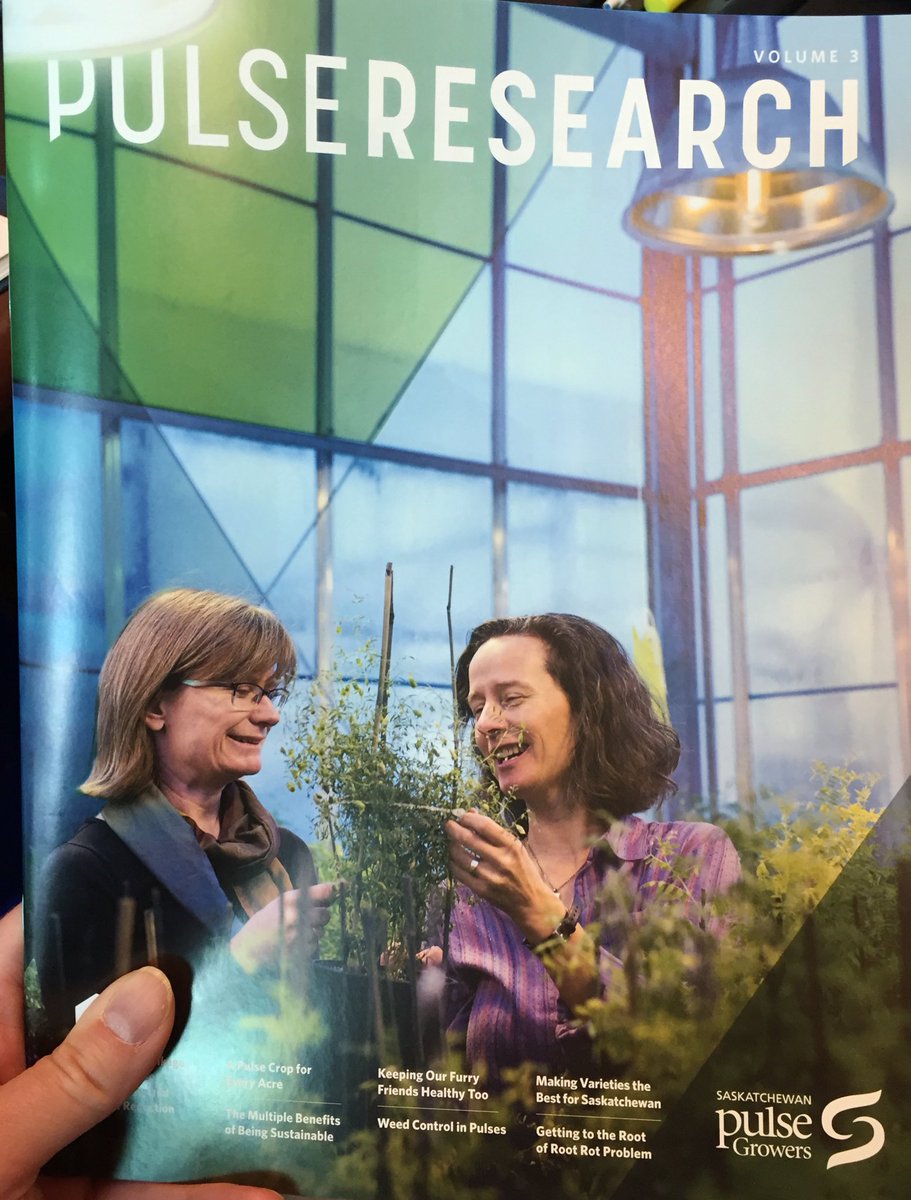 SaskPulse's tweet image. Look what just arrived? #pulseresearch #westcdnag