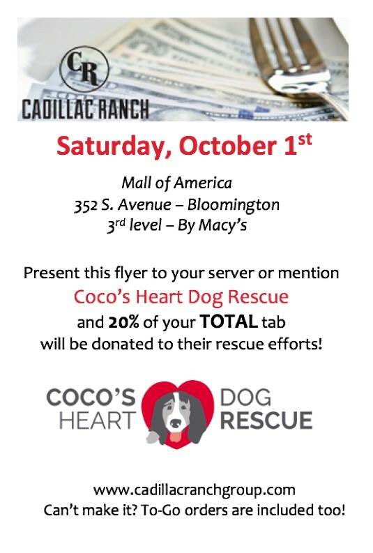 Coco's Heart Rescue (chdogrescue) Twitter