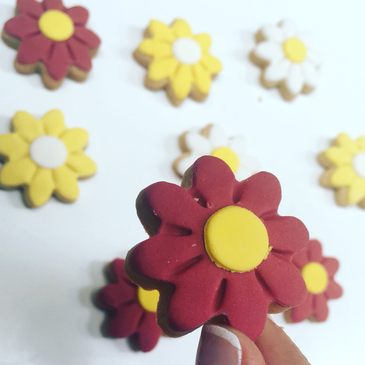 VaitPastelerias's tweet image. “El otoño es una segunda primavera, cuando cada hoja es una flor” #FelizTarde #Galletas #VaitPastelerias