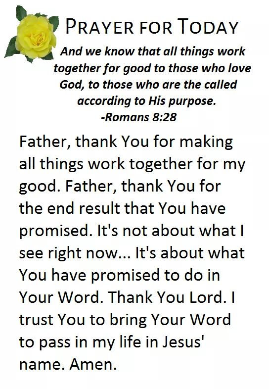 flyasmooth56's tweet image. 