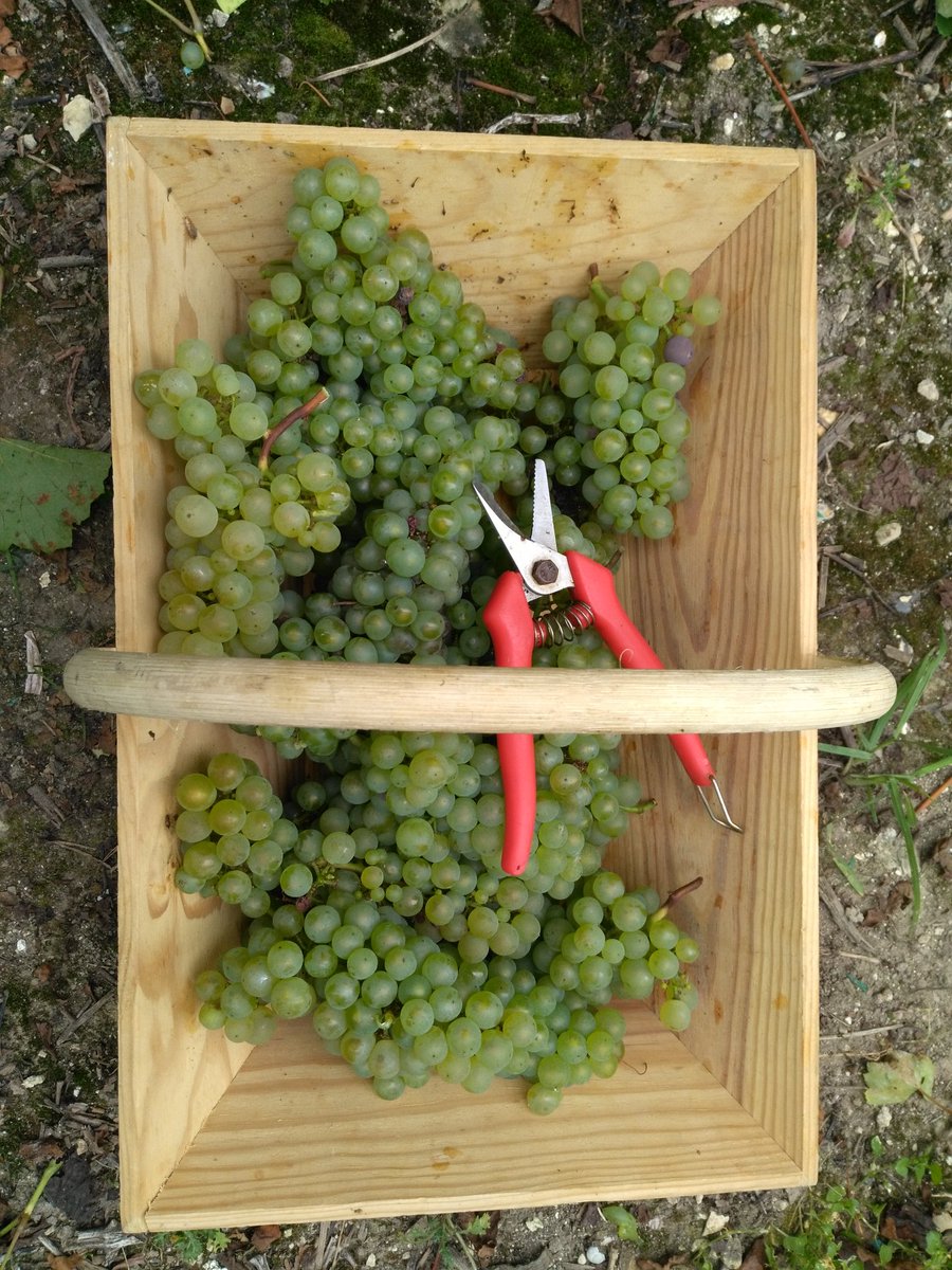 Escapade en champagne avec la Maison Besserat de Bellefon et le #ClubDesVins