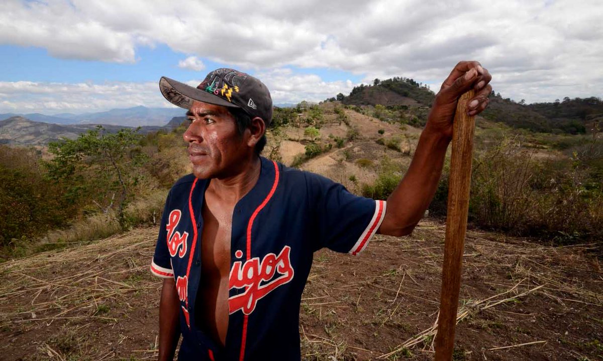 Diversitarian (@diversitarian) on Twitter photo New study: Climate change could redraw the agricultural map of #CentralAmerica. bit.ly/2dl2i7Q <a href="/ajarvis/">Amanda Jarvis</a> <a href="/andrezed/">Andre Zandstra</a> <a href="/CIAT_/">CIAT</a> <a href="/CCAFS/">ccafs</a> New study: Climate change could redraw the agricultural map of #CentralAmerica. bit.ly/2dl2i7Q <a href="/ajarvis/">Amanda Jarvis</a> <a href="/andrezed/">Andre Zandstra</a> <a href="/CIAT_/">CIAT</a> <a href="/CCAFS/">ccafs</a>