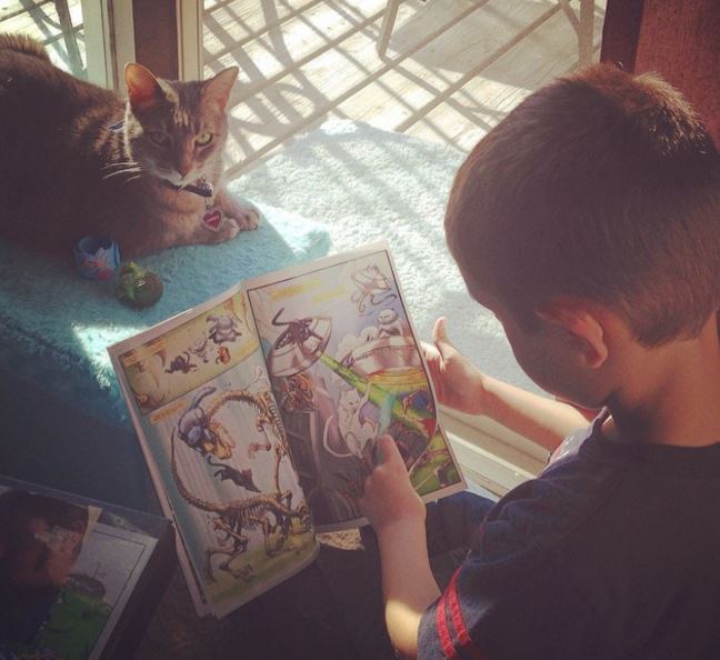 HeroCatComics's tweet photo. #HeroCatsOnline #Cats #Comics #CatsofInstigram #Reading https://t.co/ceBDQOGn6u