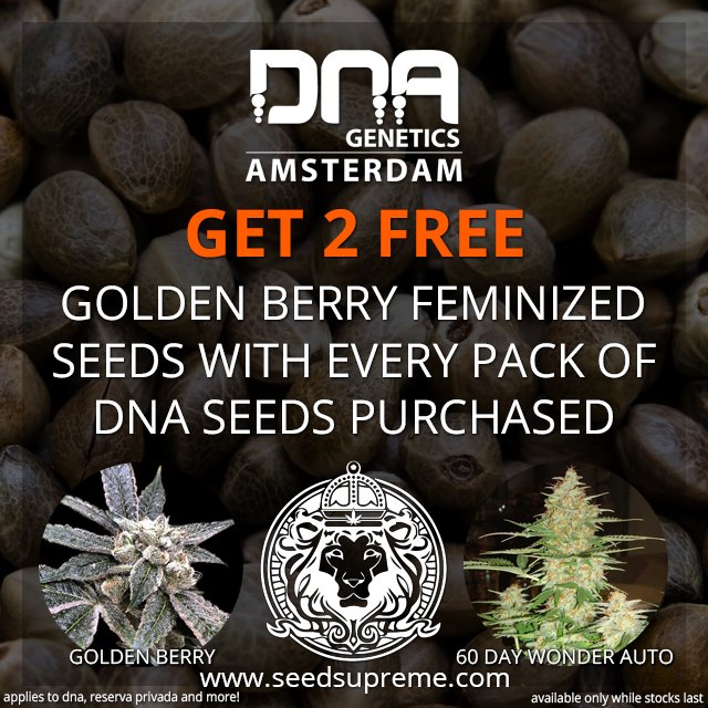 Seedsupreme discount coupons