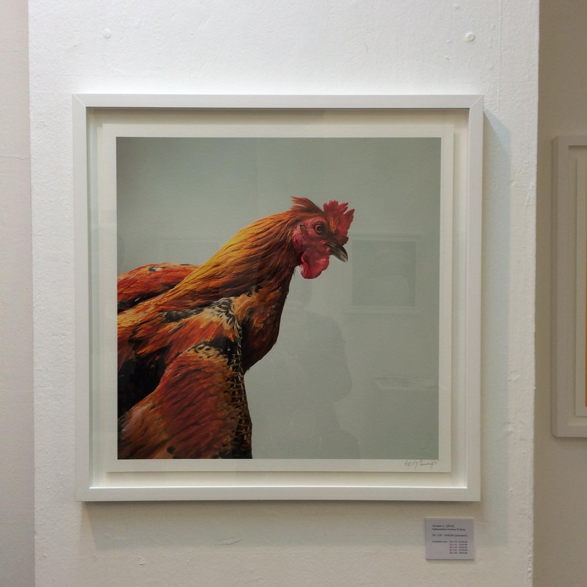 amicog's tweet image. Fantastic animal pictures #ordinarycreatures @gezgethings