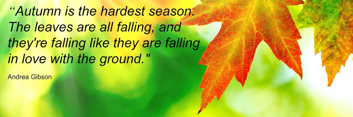 Homestay4all's tweet image. Who loves #autumn? #fallseason #backtoschool #beautifulquote #autumnlove #nature #studentlife