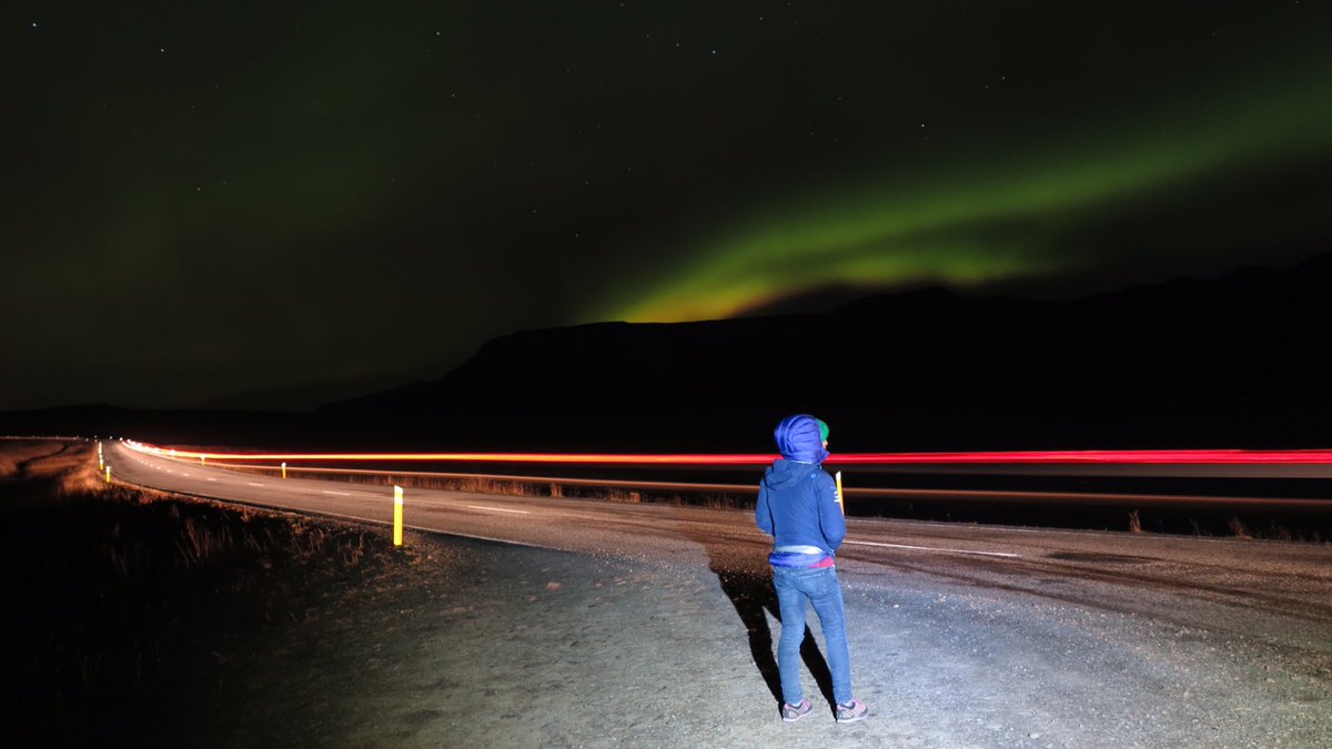 Will Appleyard tweet media