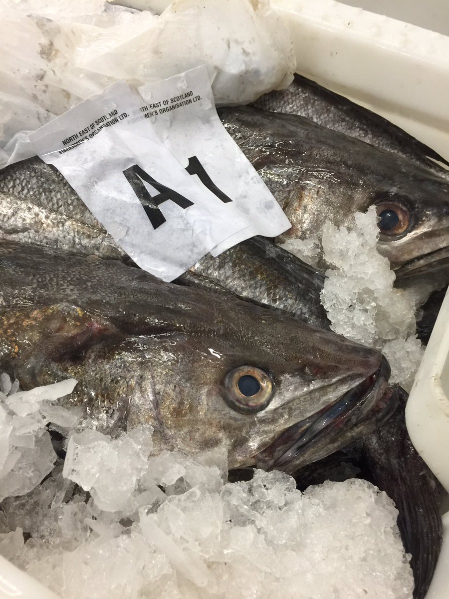 Hake plenty about this week, demand is high, our fishermen got good prices this week, the domestic and European markets love them, #getonit