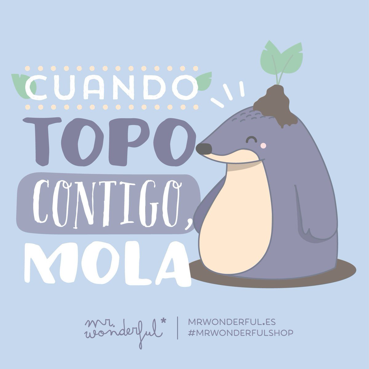 Mr. Wonderful tweet media