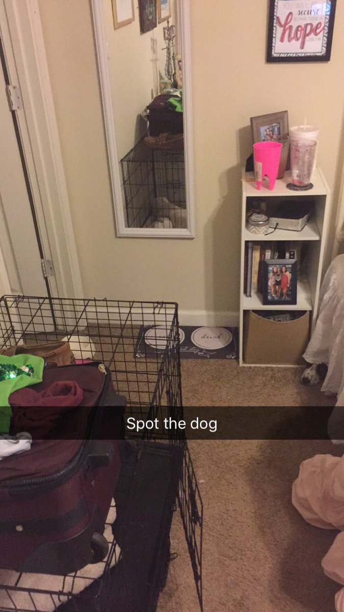 More like spot the nugget stealer