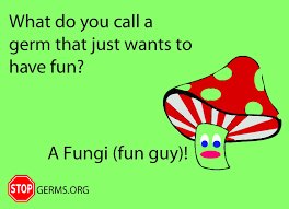 TBM_Janitorial's tweet image. Call for your ATP testing, send that Fun guy back! Call for your ATP testing!! 214-253-2119 #Plano, #Addision, #DFW, #Texas, #medical