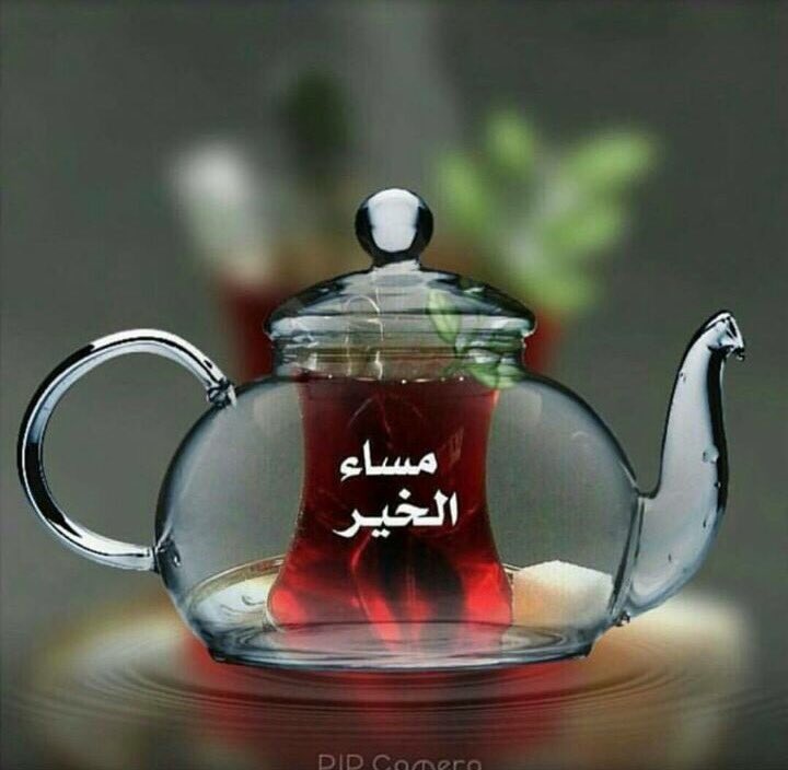 basharfaouri1's tweet image. @Lama_Shhh