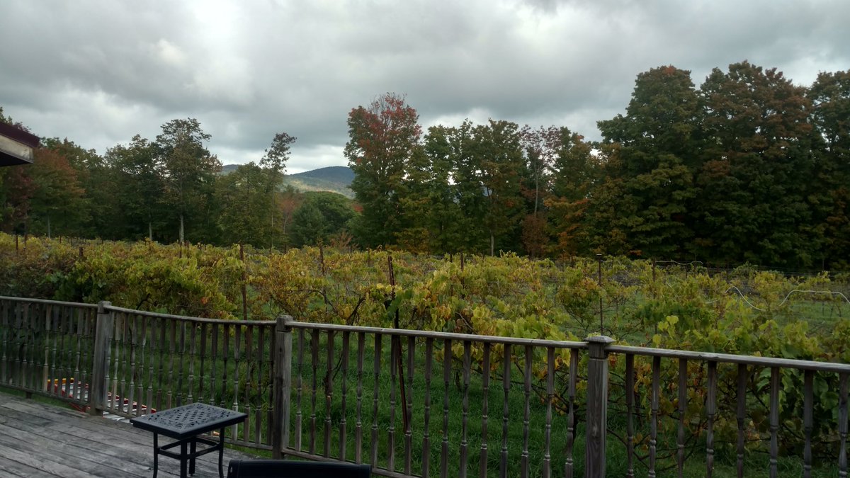 windhamvaw's tweet photo. Pijou and I did a ton of Sangiovese on this gorgeous Fall day. https://t.co/NL9bunJKkn