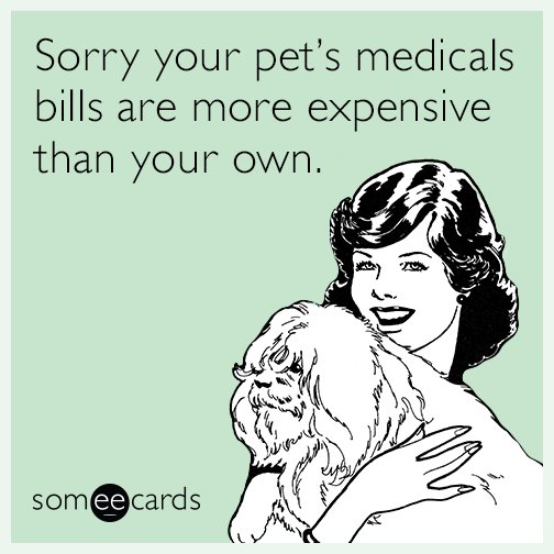 someecards's tweet photo. Written by @vontrapplord https://t.co/eCuFU7QFjU #pets https://t.co/C3JNbrj5x3