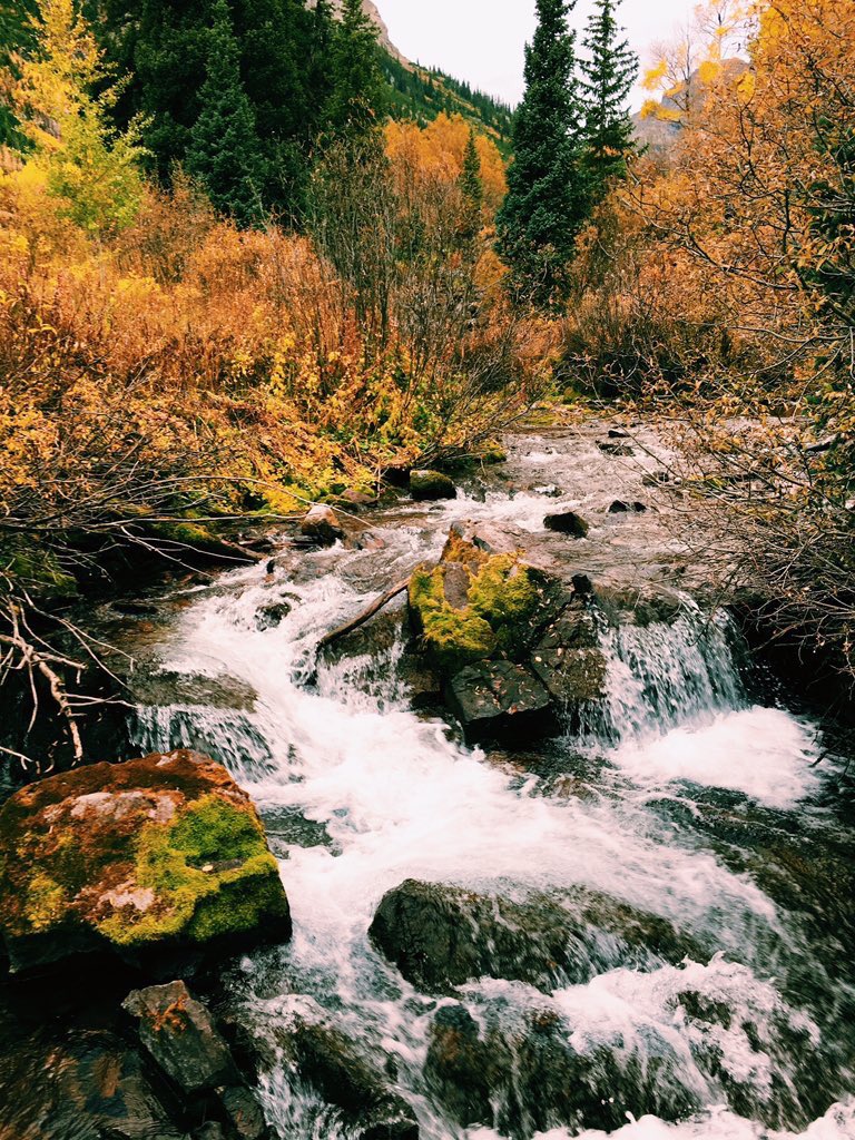 adventurful's tweet photo. Autumn in Colorado 😍🍂 https://t.co/wgeTVHLBUU