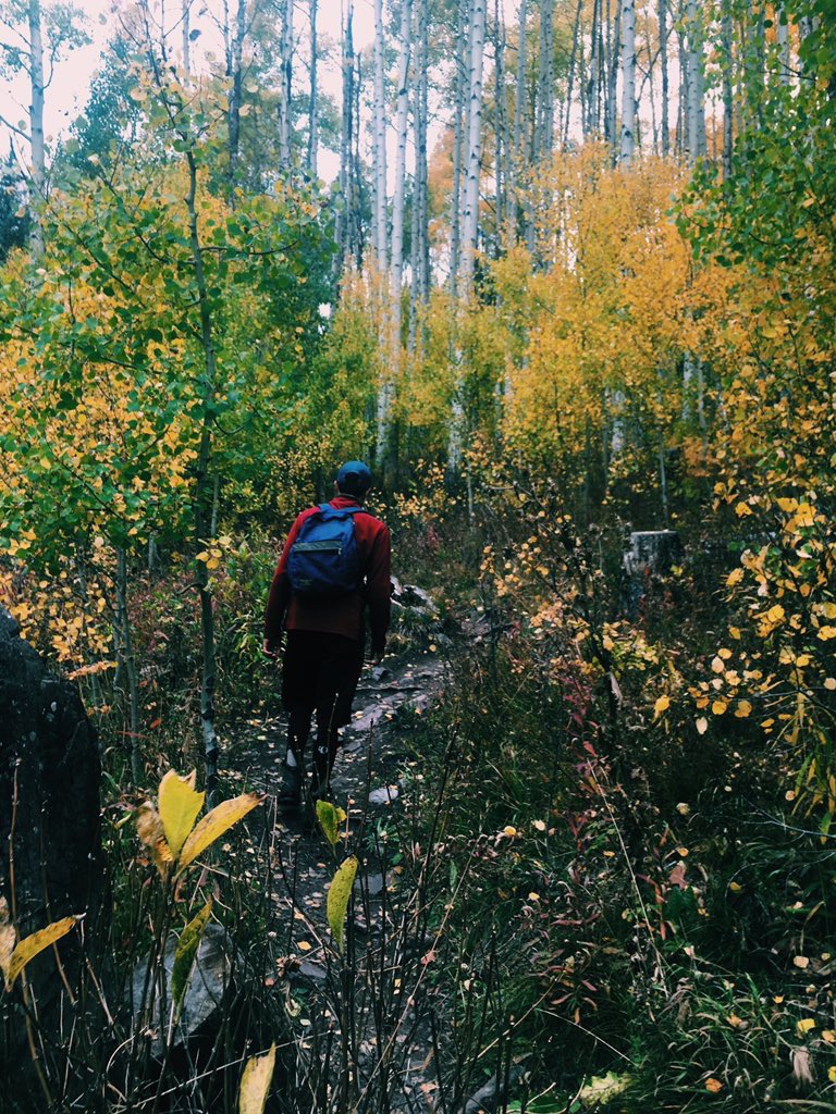 adventurful's tweet photo. Autumn in Colorado 😍🍂 https://t.co/wgeTVHLBUU