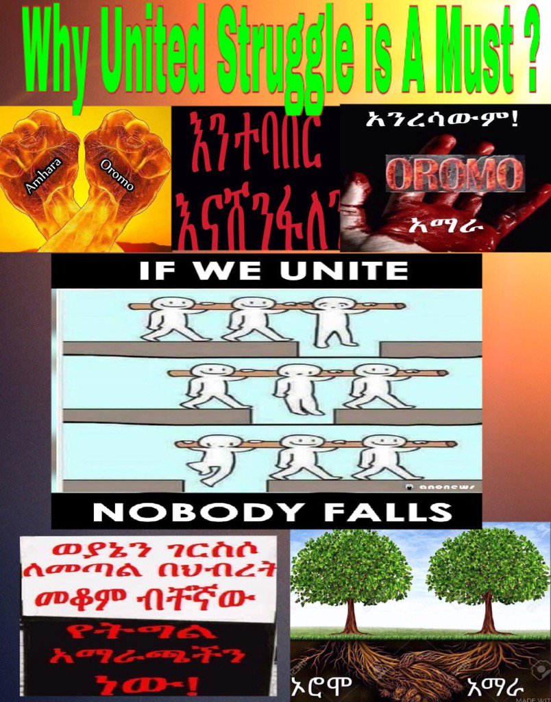 Kalebe38Teklu's tweet photo. #UnityIsAmust Why Unity is a must4oppositions? TPLF is mobilized others,the struggle needed to be a United 4 victory https://t.co/VdAz12npli
