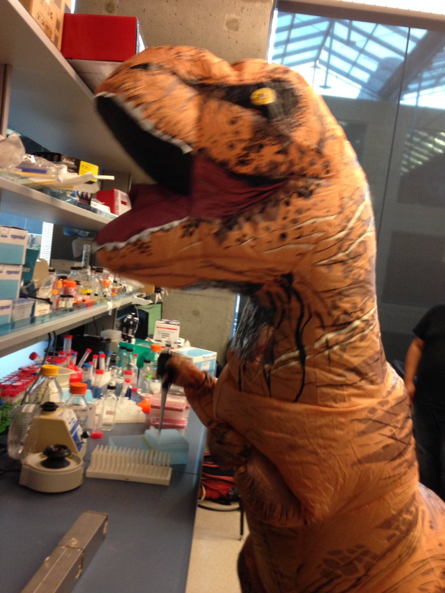 OverallLabNews's tweet photo. #jurassiclab #newpostdocintown https://t.co/AFnef1cAZj