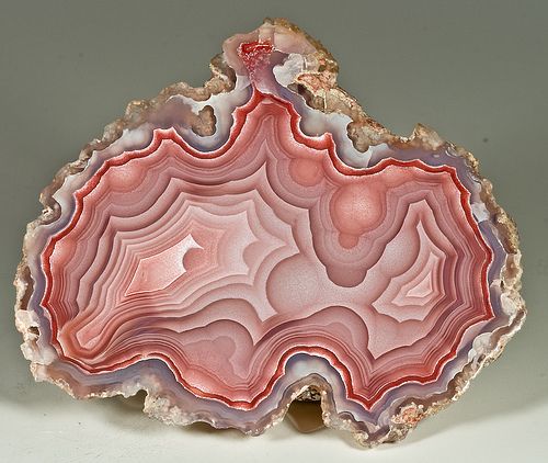 RTGultimate's tweet image. Laguna Agate-Chihuahua, Mexico.