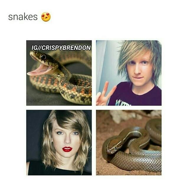😂😂 #meme #bryanstars