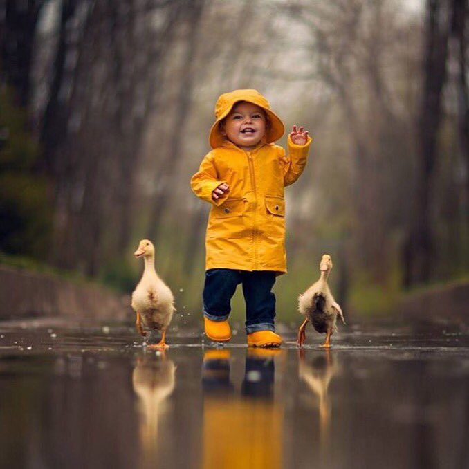Great weather for ducks. #Canberra