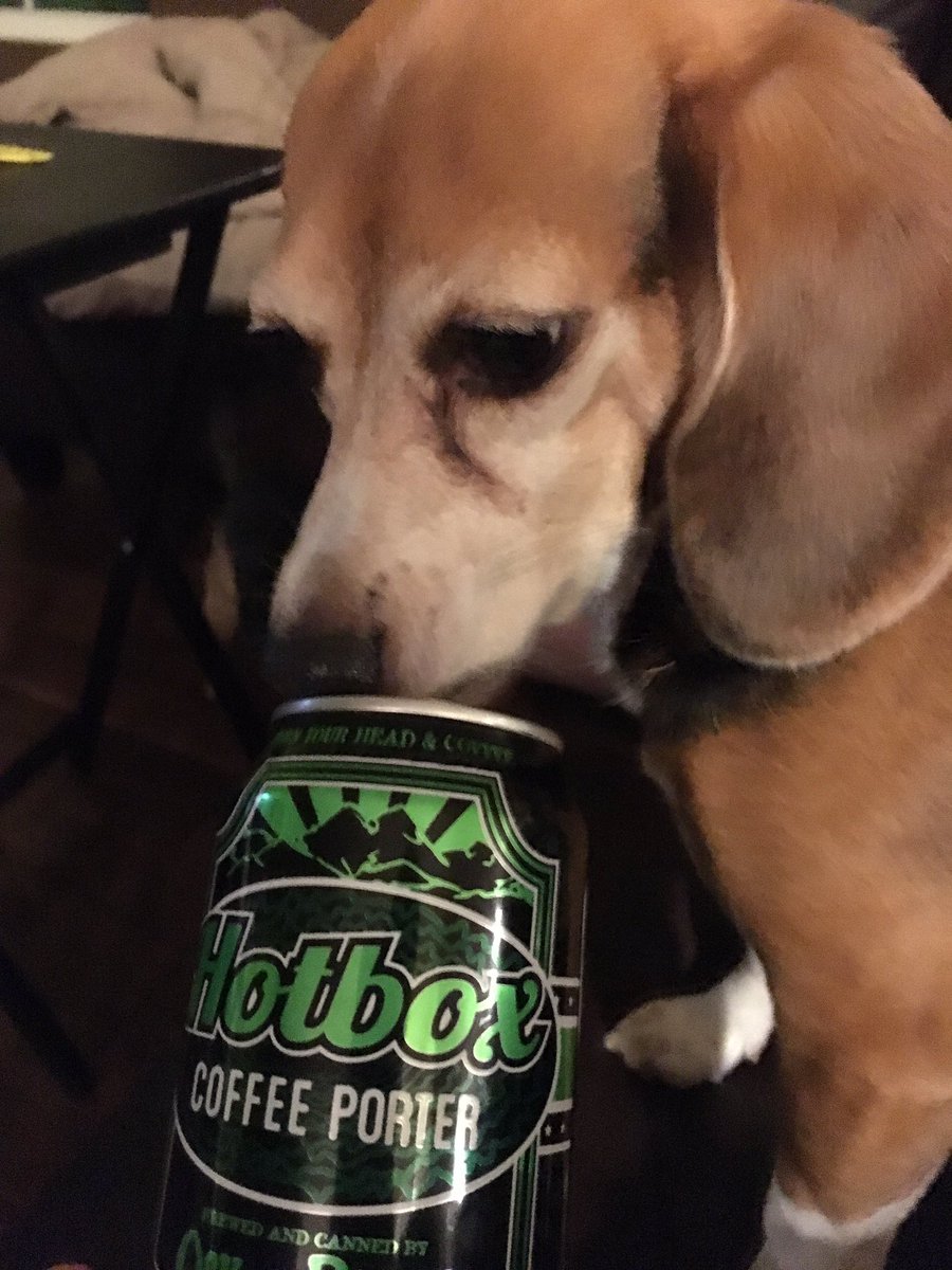 chloescanbeer's tweet photo. @oskarblues - Hot Box - 4.5 tailwags #gettingroasted #beagle #craftbeer @OskarBluesTN https://t.co/9Orww5caXE