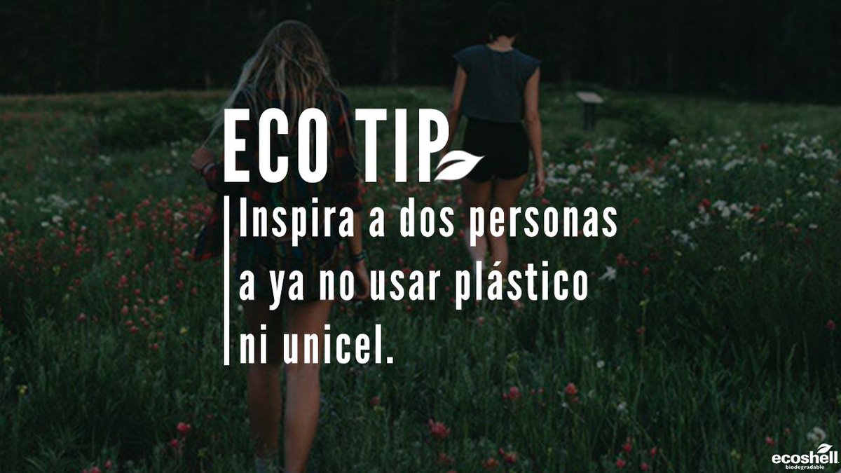 ecoshell_mx's tweet photo. ¡Es momento de acabar con el consumo de plástico y unicel! Apóyanos mencionando a dos personas y dando RT para apoyar la iniciativa. https://t.co/C0C7hWUCYz