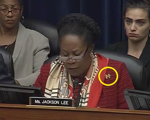 So obviously corrupt. Sheila Jackson Lee wears Hillary pin during hearing on her e-mails