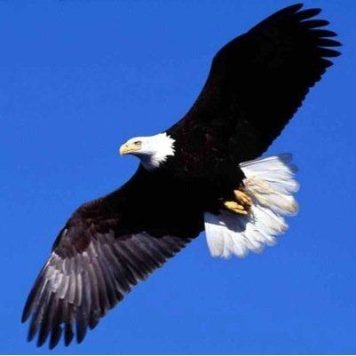 OXhkm's tweet photo. Come hangout with me on #BIGOLIVE. https://t.co/YGJJBmVE94 https://t.co/yuTlAVg25U
