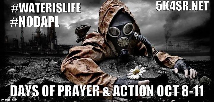 taachiini's tweet photo. Tó éí ííná át'é / #WaterIsLife Send a global message: #NODAPL Oct 8 9 10 & 11 #DaysofPrayer #DaysofAction #5000ActionsForStandingRock #5K4SR https://t.co/oWCGmyPCF5