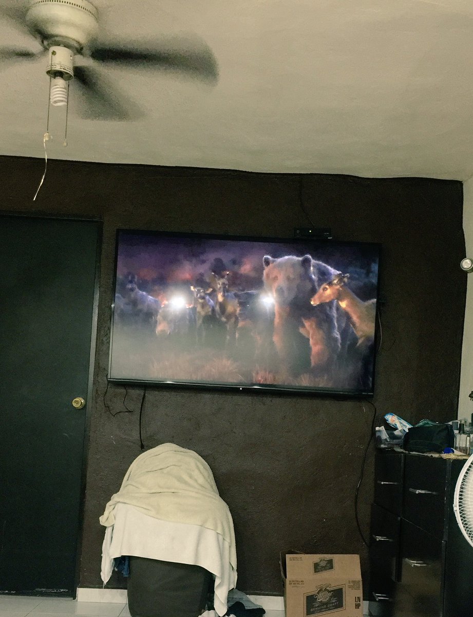 danylacaja's tweet photo. Mi tercer película del día 😅😅 https://t.co/Q5rZjWOFfQ