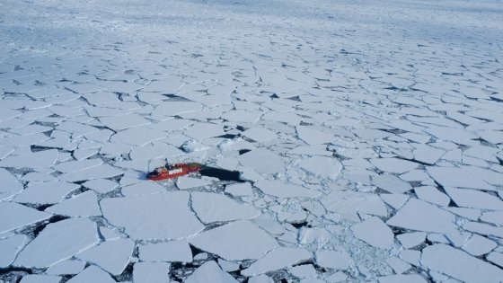 thinksolutioncb's tweet image. Artico, 8mila anni fa un Oceano senza ghiaccio: il futuro che ci aspetta repubblica.it/ambiente/2016/…