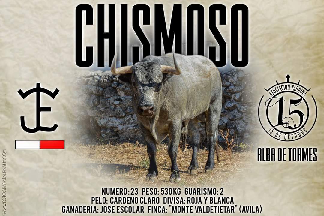 arribestaurinas's tweet photo. "Chismoso", de José Escolar, reseñado para la localidad salmantina de Alba de Tormes. Trapío y seriedad. ¡No te lo pierdas! https://t.co/aNImWJnkTS