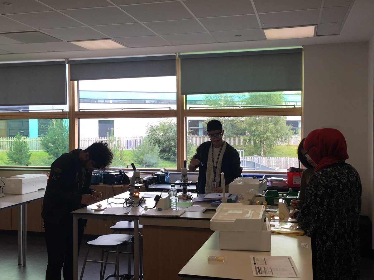 GAA_science's tweet photo. Year 12 working hard #corepracticals #alevelbiology #graticules @NCASixth https://t.co/2CdnpjtVkS