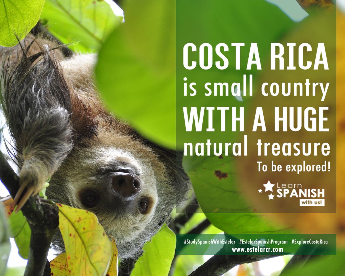 estelarbilingue's tweet photo. Learn Spanish in Costa Rica!
#StudySpanishAbroad #LearnSpanish #SpanishClasses #SpanishPrograms #InstitutoEstelarBilingue https://t.co/3NEbShYa4S