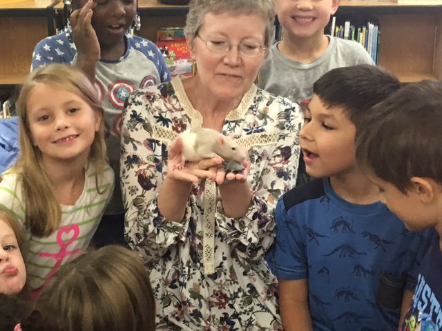 SVEmisd's tweet photo. @marla_jaynes &amp; class got #PrincessPenelope a gift!  #SV30 #LibraryRat #PenelopeSaysThanks @JFischer76 @KappyEdwards #1Midway https://t.co/iAJdacbieq
