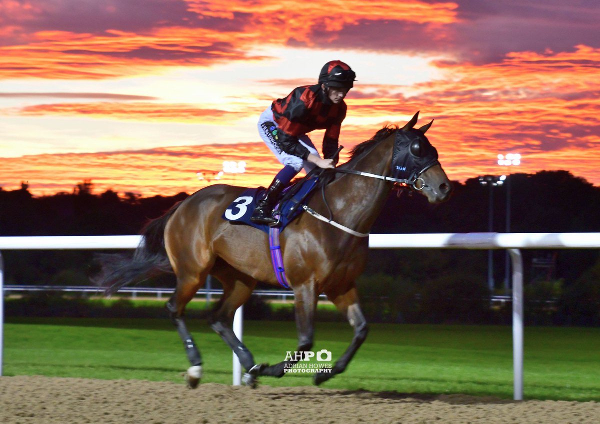 AdrianHowes's tweet photo. Had a fab night at Wolverhampton races last night #nicecourse @WolvesRaces https://t.co/Ldg7J77RvV