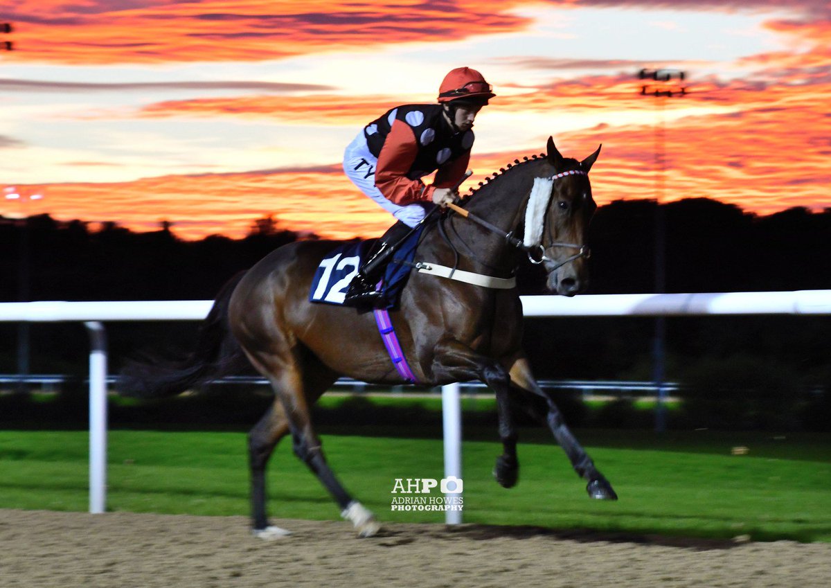 AdrianHowes's tweet photo. Had a fab night at Wolverhampton races last night #nicecourse @WolvesRaces https://t.co/Ldg7J77RvV
