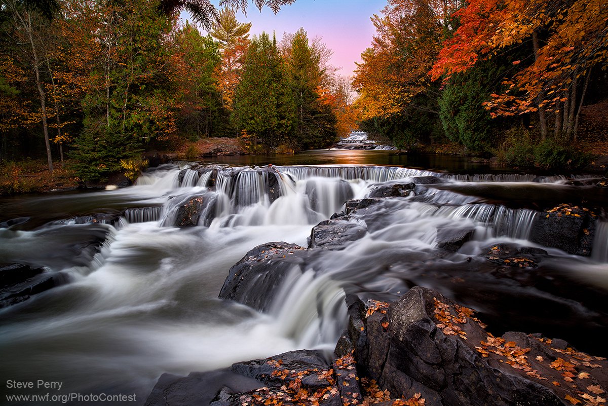 NWF's tweet photo. Fall means stunning colors! Ever wondered what causes trees to change colors and lose their leaves? Find out: https://t.co/1CLyR0nXIa https://t.co/vwhbCnrlCY