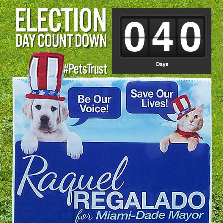 SplashFoto's tweet photo. #ElectionDay #countdown Let's do this #Miami Vote for @RaquelRegalado #PetsTrust #share @newschica @davidsaulacosta @doug_hanks @AmandiOnAir https://t.co/OsHrlVxXrb