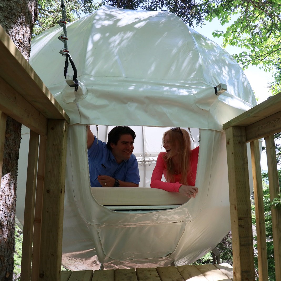 ParksCanada's tweet photo. Your own tree house! See ocean views while suspended in the trees at #CapeBretonHighlandsNP: https://t.co/O6jJaHnWn1 https://t.co/otsHZjbQG1