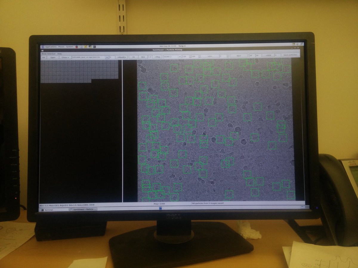 Huminature's tweet image. #particlepicking on these icy #micrographs.. Not so cool.. #CryoEM #structuralbiology #pdbem  #onedayi'llhavehighresolution #sigh