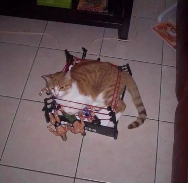 HotNSpicys's tweet image. When people say WWE is fake just show them this picture