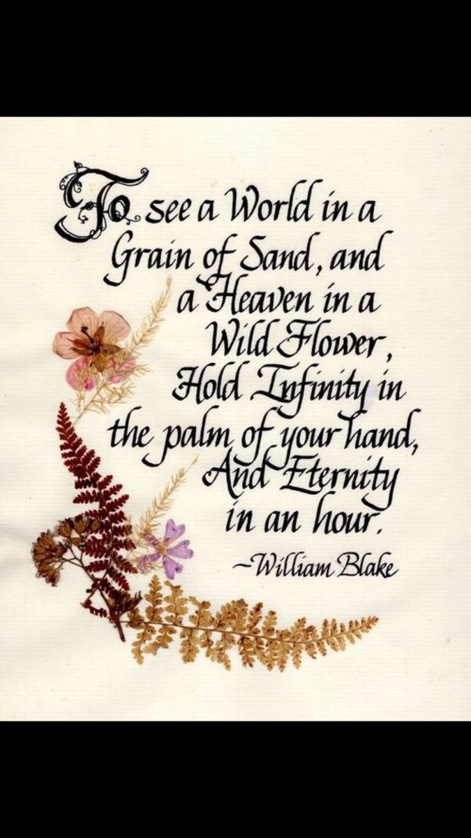 LeeHunt3r's tweet photo. Resonated to me today.. #bedtimereflection #focus #perspective #williamblake https://t.co/dRCHpGvWjx